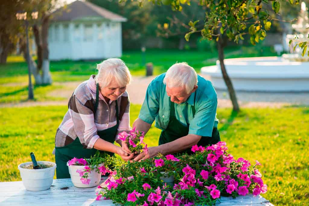 senior-couple-gardening