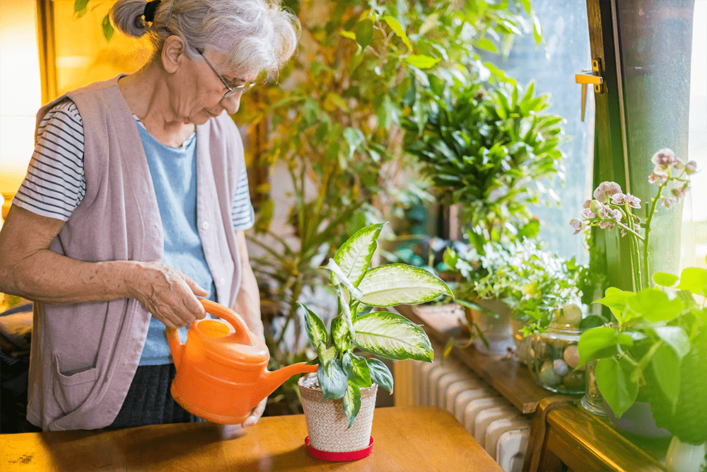 Gardening with Joint Pain